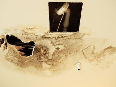 Professional water damage restoration services in San Marcos - SurgeMint Team